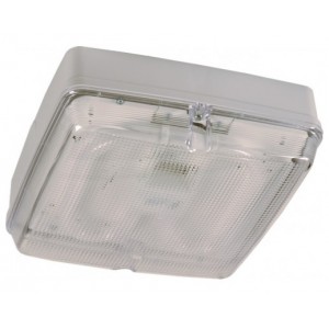 ERS 28W 2D Non-Maintained Square Bulkhead Luminaire